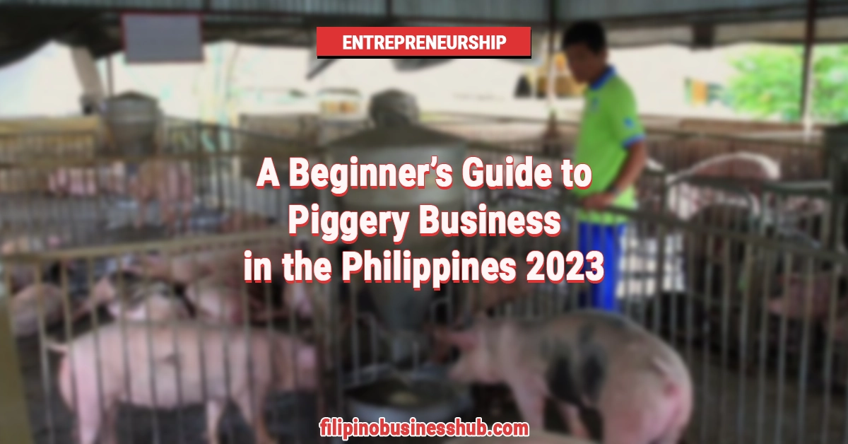 A Beginner’s Guide to Piggery Business in the Philippines 2023