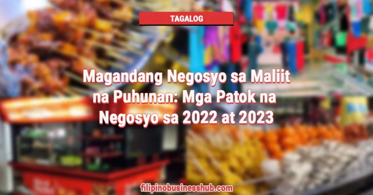 Magandang Negosyo sa Maliit na Puhunan Mga Patok na Negosyo 2022 2023