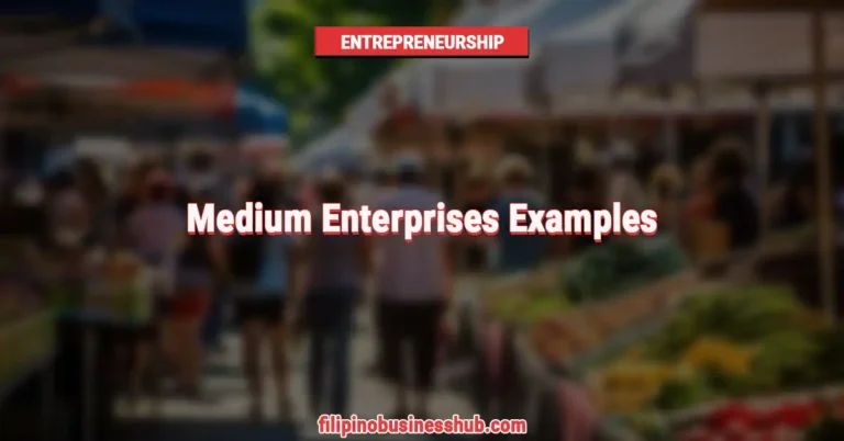 Medium Enterprises Examples