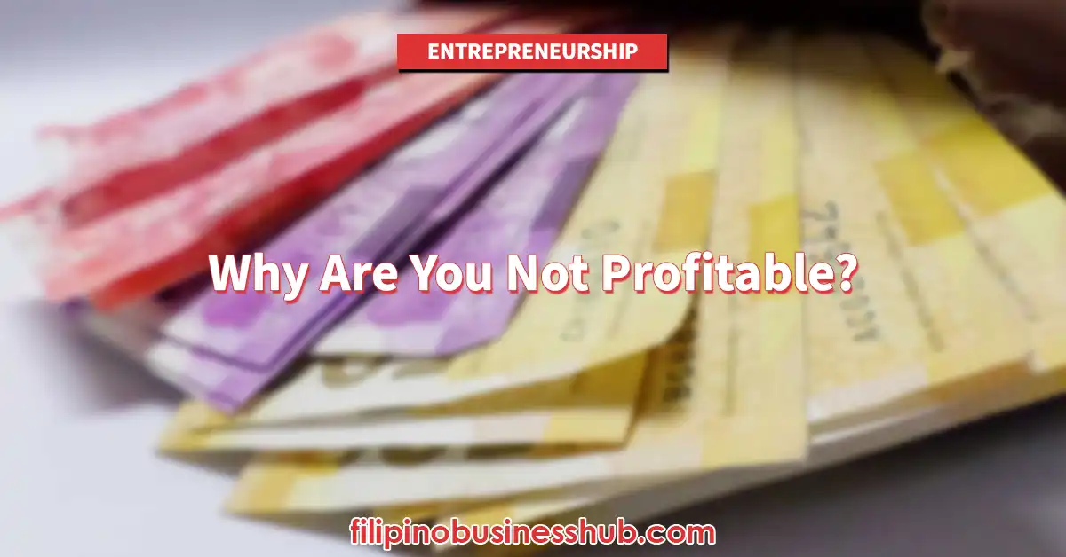 Why Are You Not Profitable? (Even If You Have a Great Product) Why Are You Not Profitable? (Even If You Have a Great Product)