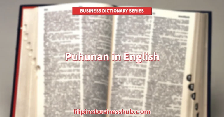 Puhunan in English Meaning, Examples, and Business Usage