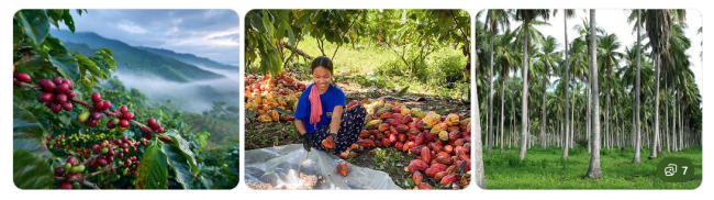 10. Agribusiness in the Philippines