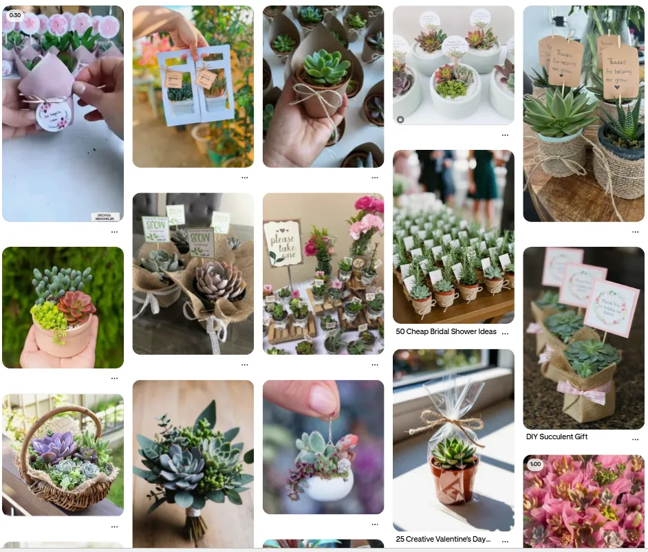 Mini Plant or Succulent Bouquet