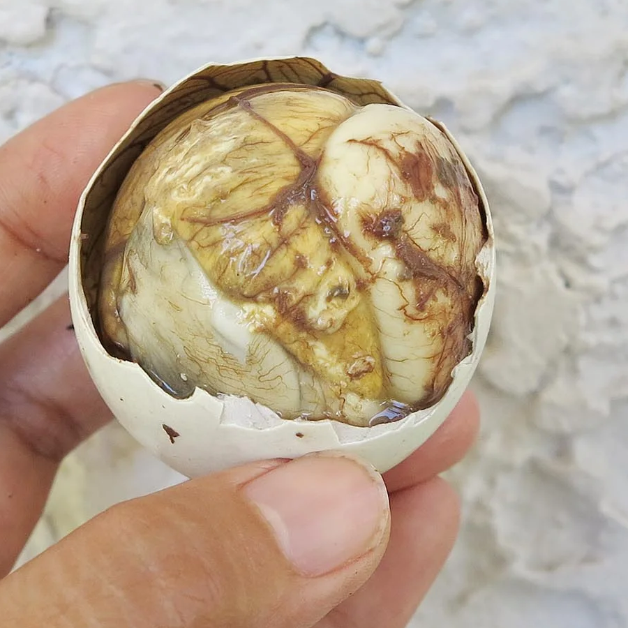 Balut