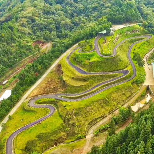 Dahilayan Forest Trails (Bukidnon)