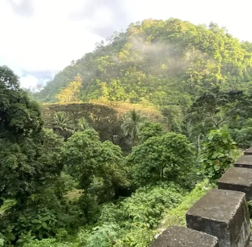 Mount Agad-Agad (Lanao del Norte)