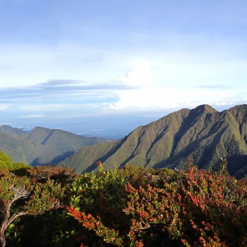 Mount Dulang-Dulang (Bukidnon)