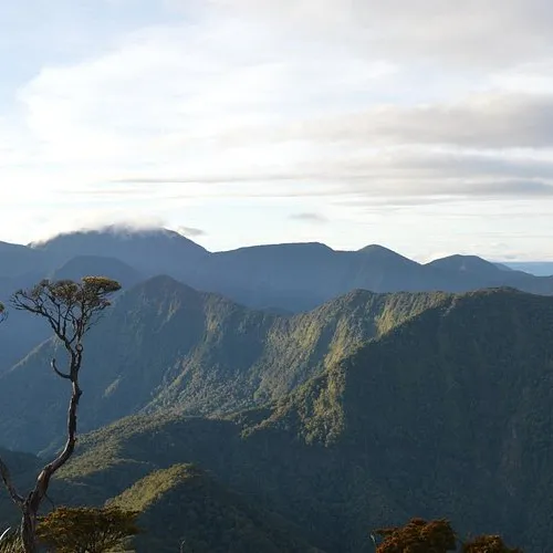 Mount Lumot (Bukidnon)