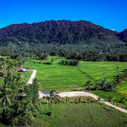 Mount Dinor (Davao del Sur)