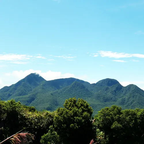 Mount Timpoong (Camiguin)