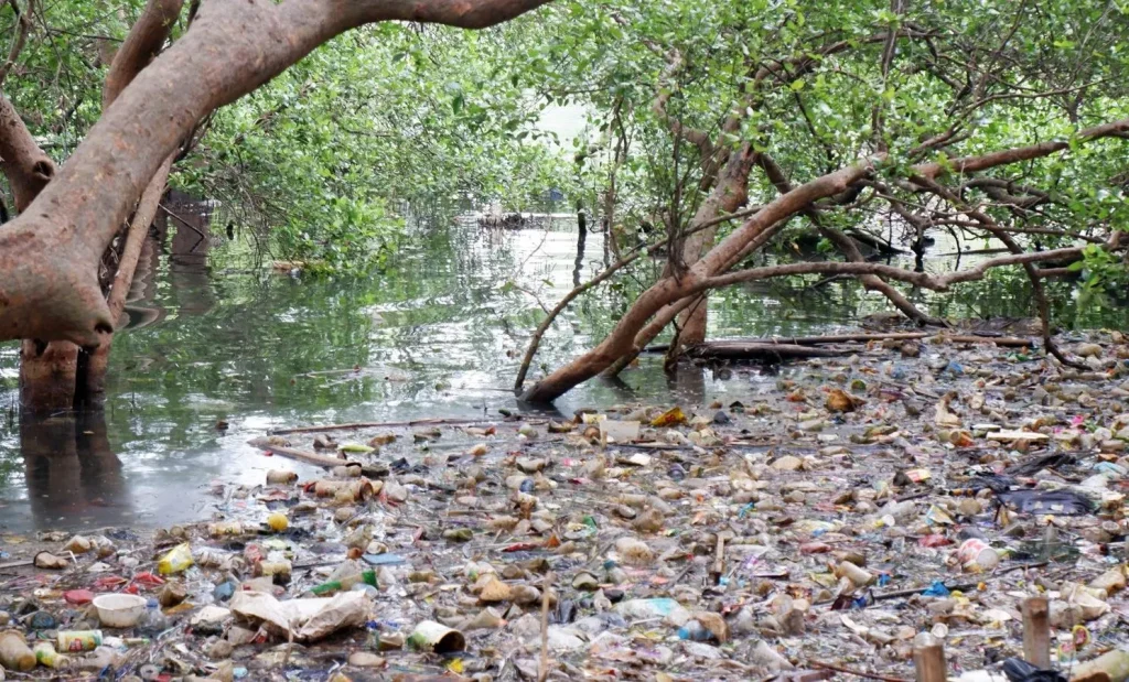 plastic waste collected from a Philippine coastal area